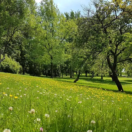 Feriested Vizparti Ueduelo *