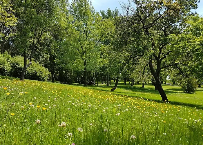 Resort Vizparti Ueduelo *