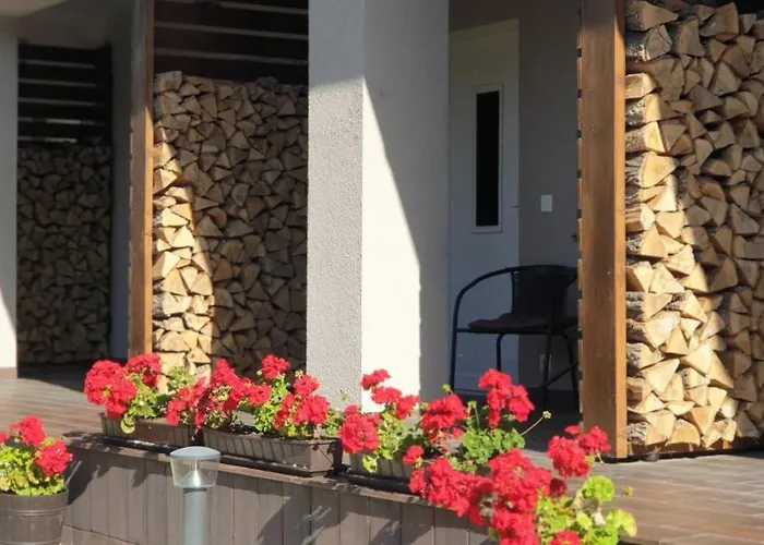 Vizparti Ueduelo * Zanka