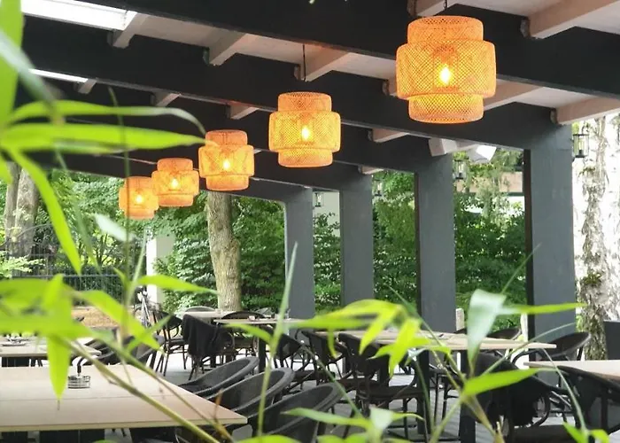 Vizparti Ueduelo Zanka